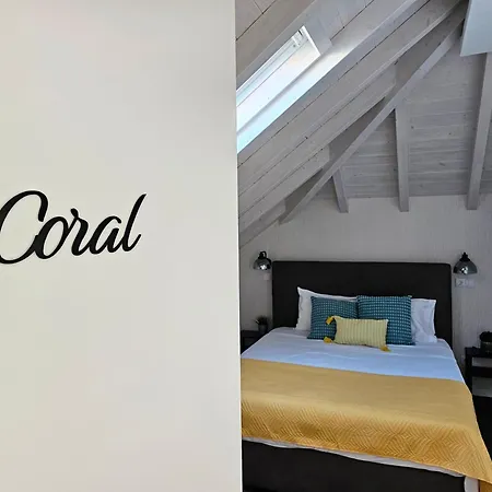 Surfsoul -